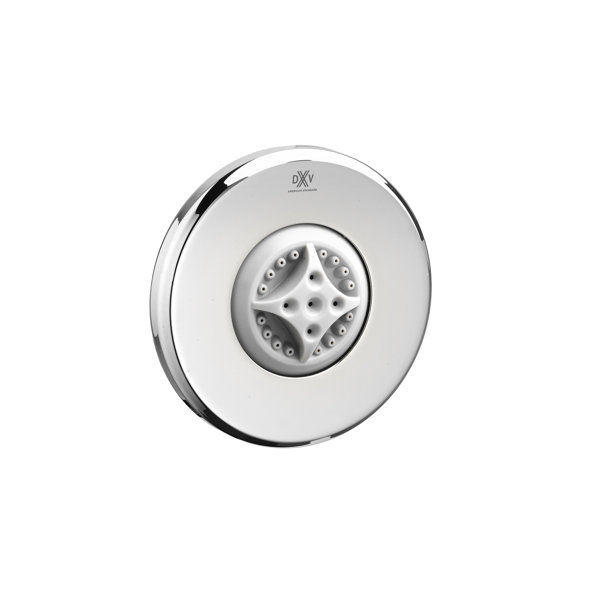 DXV Transitional Multi Function Adjustable Shower Head Perigold